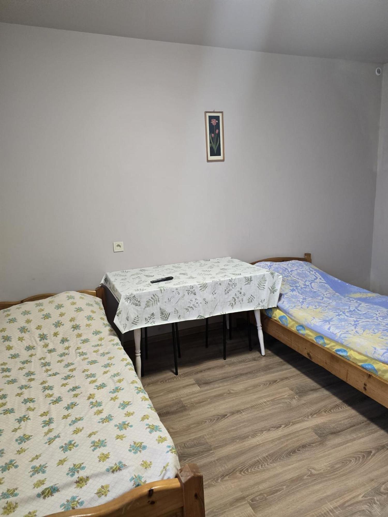 Pensjonat Feliksow Wiskitki المظهر الخارجي الصورة